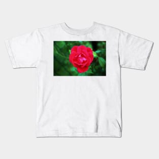 Pink Fall Rose Kids T-Shirt